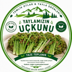 Yaylamuzu