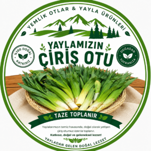 Çiriş Otu